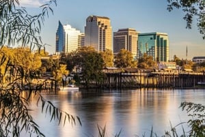 Fra Buenos Aires: Guidet dagstur til Colonia del Sacramento