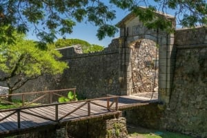Fra Buenos Aires: Guidet dagstur til Colonia del Sacramento