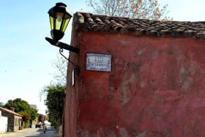 Fra Buenos Aires: Guidet dagstur til Colonia del Sacramento