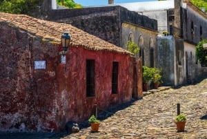 Fra Buenos Aires: Guidet dagstur til Colonia del Sacramento