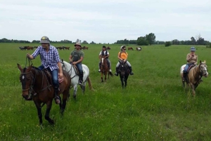 Från Buenos Aires: Ridning på hästryggen med BBQ