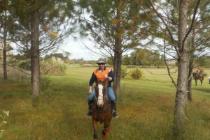 Från Buenos Aires: Ridning på hästryggen med BBQ