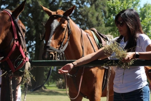 Från Buenos Aires: Ridning på hästryggen med BBQ