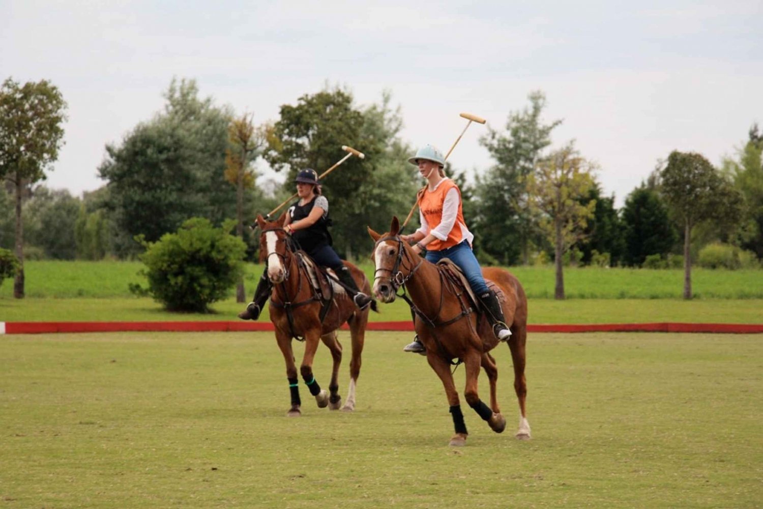From Buenos Aires: Polo Match, Lesson, and BBQ Day-Trip