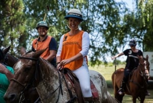 Da Buenos Aires: partita di polo, lezione e gita di un giorno al barbecue