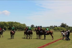 Desde Buenos Aires: partido de polo, lección y excursión de un día a la barbacoa