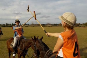 Da Buenos Aires: partita di polo, lezione e gita di un giorno al barbecue
