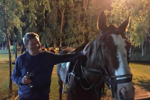 From Buenos Aires: Night Polo Match with BBQ