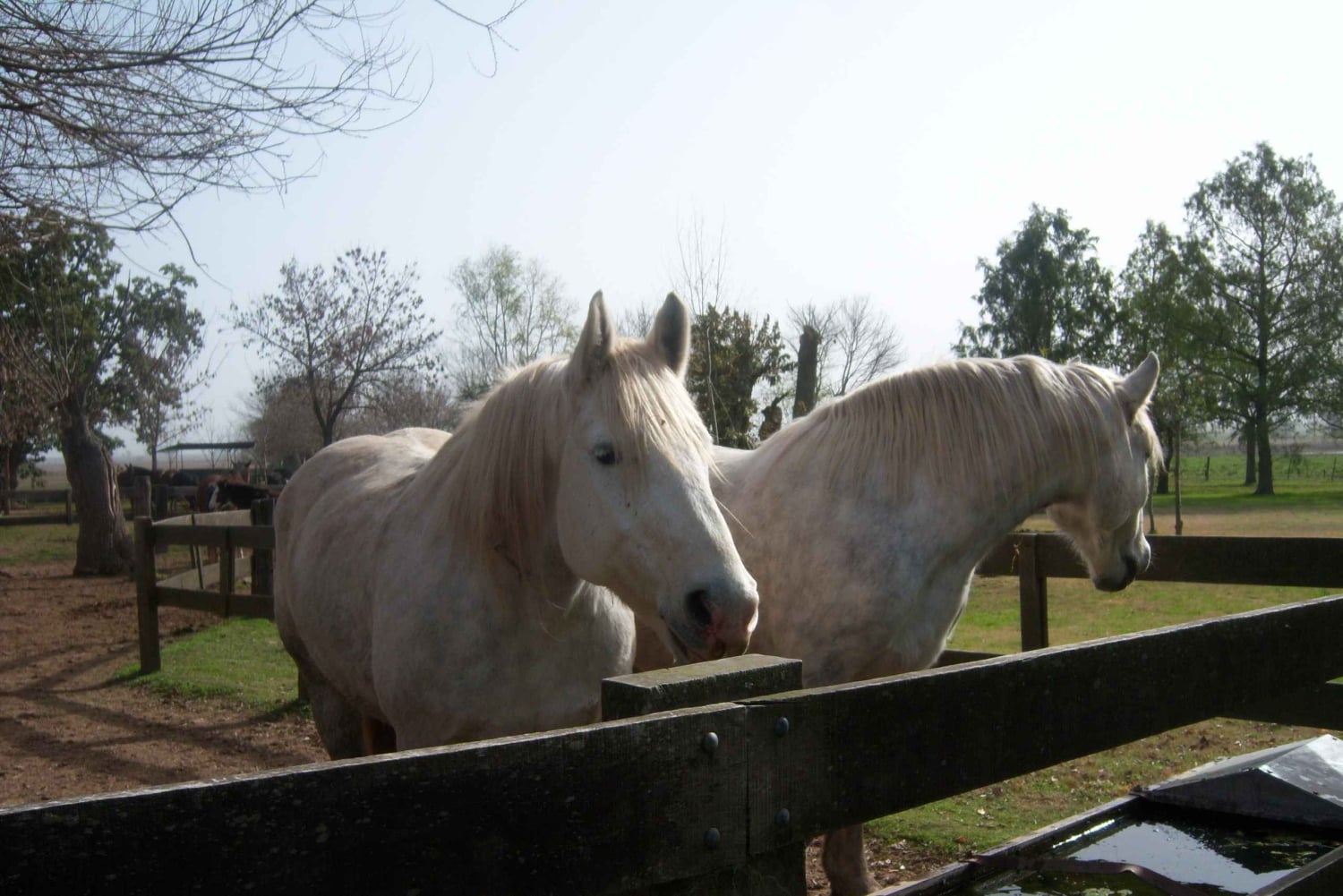 Von Buenos Aires aus: San Antonio de Areco Tagestour