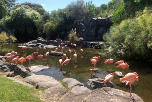 Da Buenos Aires: Tour dello zoo di Temaiken con biglietto incluso