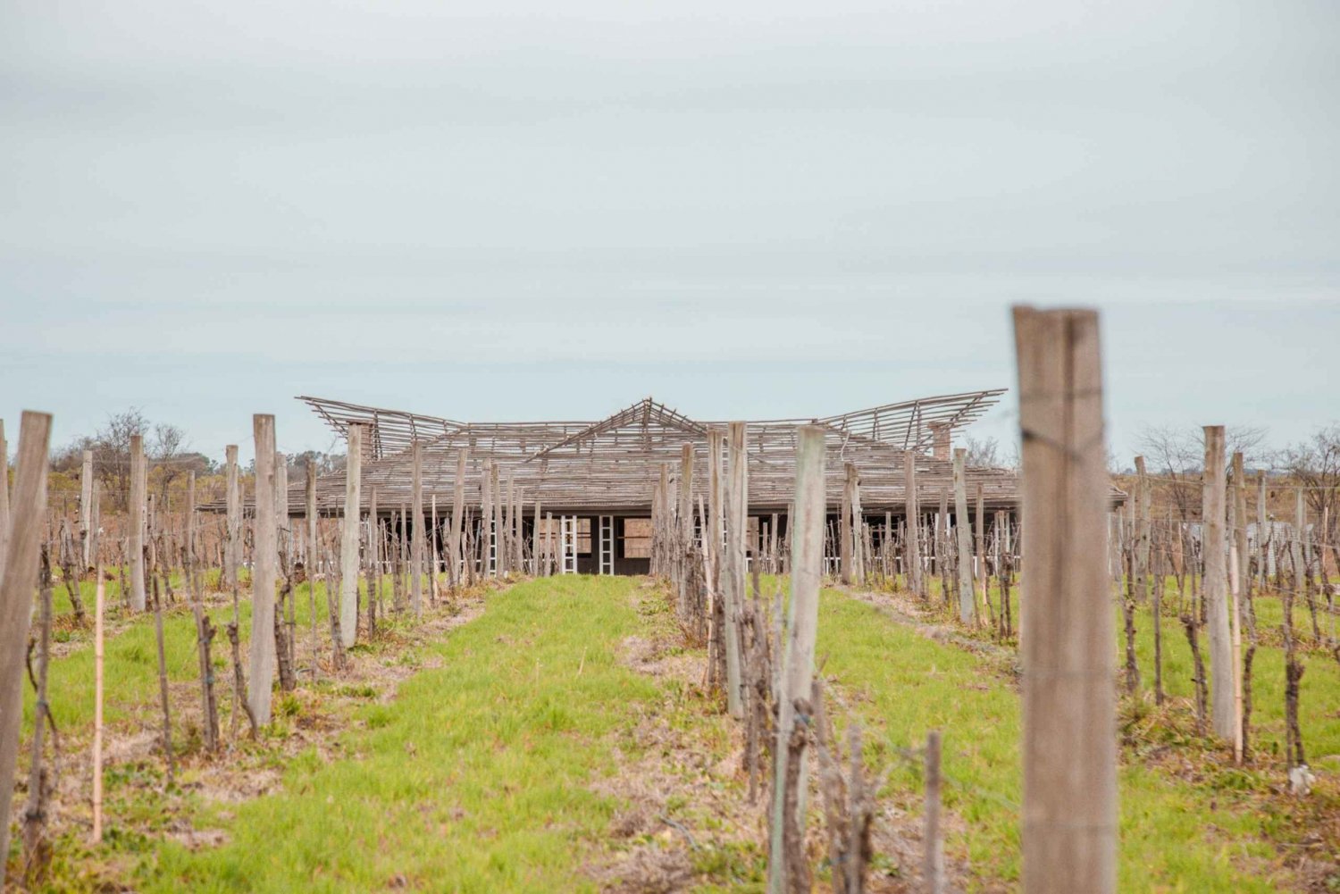 From Buenos Aires: Vineyard Tour with Wine Tasting and Lunch