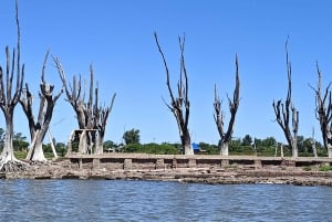 From Córdoba: Ansenuza National Park