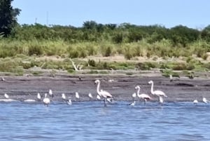 From Córdoba: Ansenuza National Park