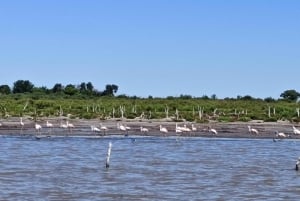 From Córdoba: Ansenuza National Park