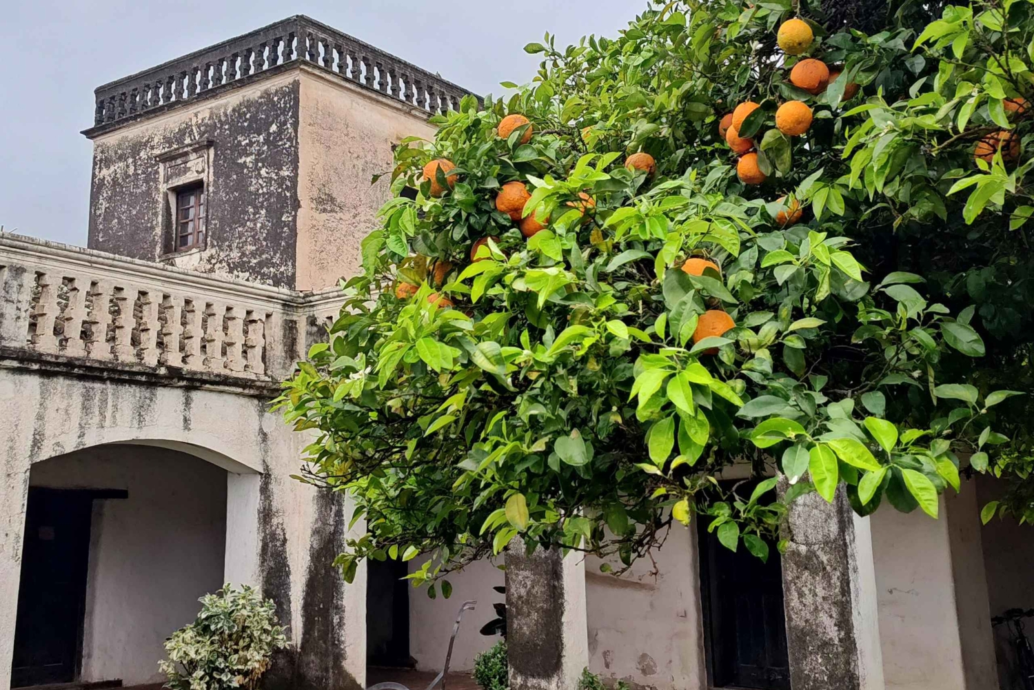 Depuis Cordoba : musées des estancias jésuites
