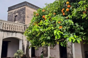 Depuis Cordoba : musées des estancias jésuites