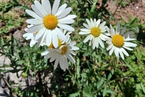 Из Кордовы — Ла Кумбречита и Вилла Бельгано.