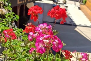 Från Cordoba - La Cumbrecita & Villa Gral Belgano