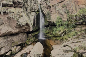 From Cordoba: Tabaquillos Forest and Lampazos Waterfall Hike with lunch