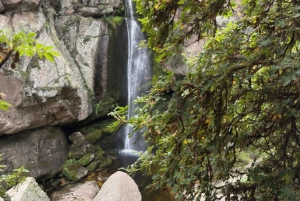 From Cordoba: Tabaquillos Forest and Lampazos Waterfall Hike with lunch