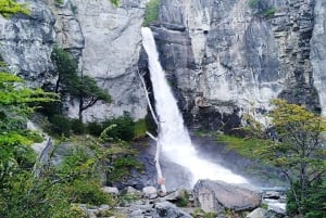 Da El Calafate: Tour di un giorno e breve escursione a El Chalten