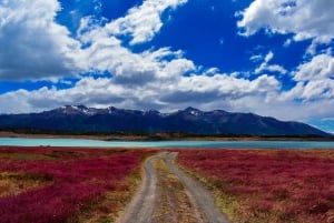 From El Calafate: Estancia Nibepo Aike Tour