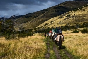 From El Calafate: Estancia Nibepo Aike Tour