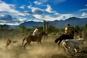 From El Calafate: Estancia Nibepo Aike Tour
