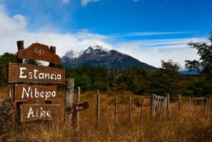 From El Calafate: Estancia Nibepo Aike Tour
