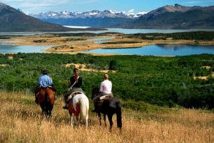 From El Calafate: Estancia Nibepo Aike Tour