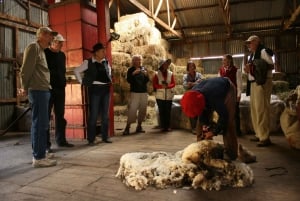 From El Calafate: Estancia Nibepo Aike Tour