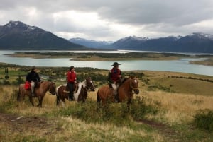 From El Calafate: Estancia Nibepo Aike Tour