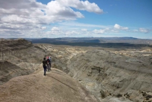 Från El Calafate: La Leona Petrified Forest dagsutflykt