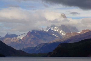 From El Calafate: La Leona Petrified Forest Tour