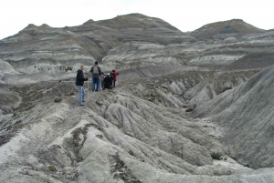 Z El Calafate: Wycieczka do skamieniałego lasu La Leona