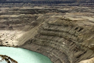 Z El Calafate: Wycieczka do skamieniałego lasu La Leona