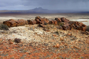 Z El Calafate: Wycieczka do skamieniałego lasu La Leona