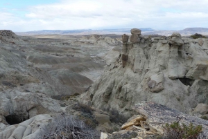 Z El Calafate: Wycieczka do skamieniałego lasu La Leona