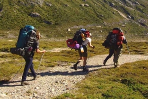 Z El Calafate: Wycieczka do skamieniałego lasu La Leona