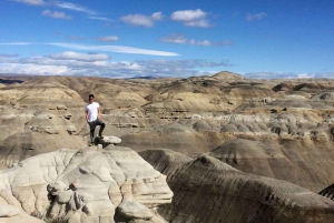 Z El Calafate: Wycieczka do skamieniałego lasu La Leona