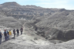 Z El Calafate: Wycieczka do skamieniałego lasu La Leona