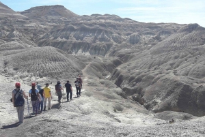 Z El Calafate: Wycieczka do skamieniałego lasu La Leona