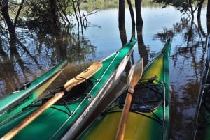 From Entre Rios: Uruguay River Kayak Tour