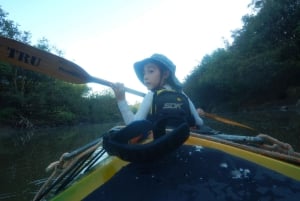 From Entre Rios: Uruguay River Kayak Tour