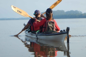 From Entre Rios: Uruguay River Kayak Tour