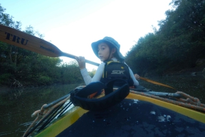 From Entre Rios: Uruguay River Kayak Tour