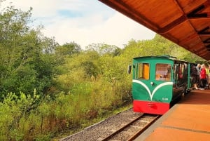 From Foz do Iguaçu: Argentinian Iguazu Falls with Boat Ride