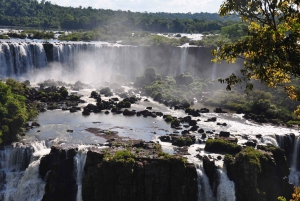 De Foz do Iguaçu: Passeio pelas Cataratas Brasileiras e Parque das Aves