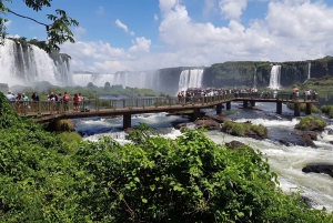 De Foz do Iguaçu: Passeio pelas Cataratas Brasileiras e Parque das Aves