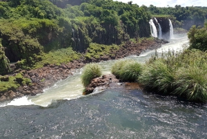 De Foz do Iguaçu: Passeio pelas Cataratas Brasileiras e Parque das Aves